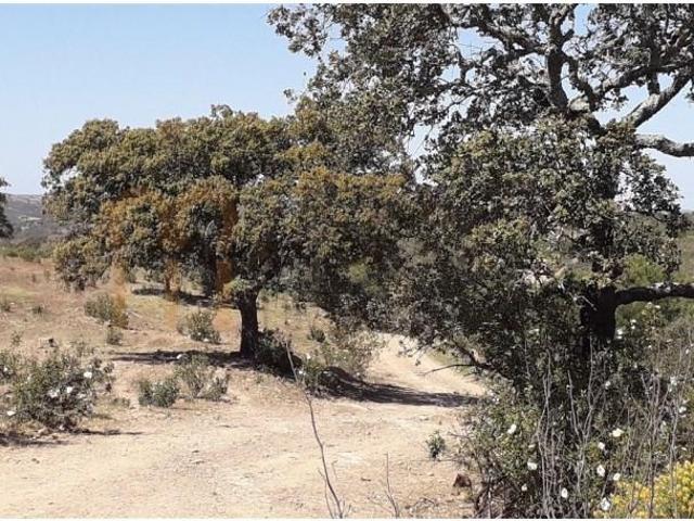 Terreno venda em Alcoutim, Faro
