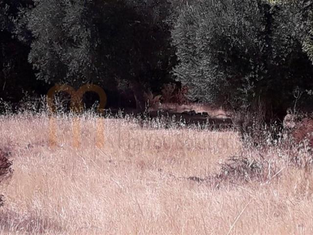 Terreno venda em Alcoutim, Faro
