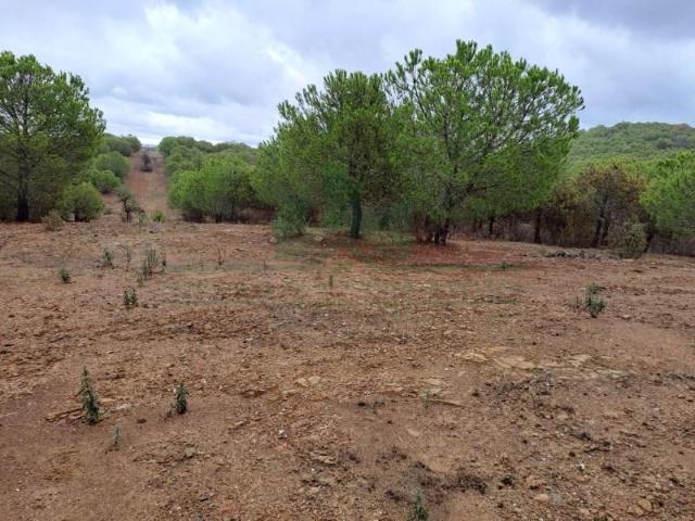 Terreno venda em Vaqueiros, Faro