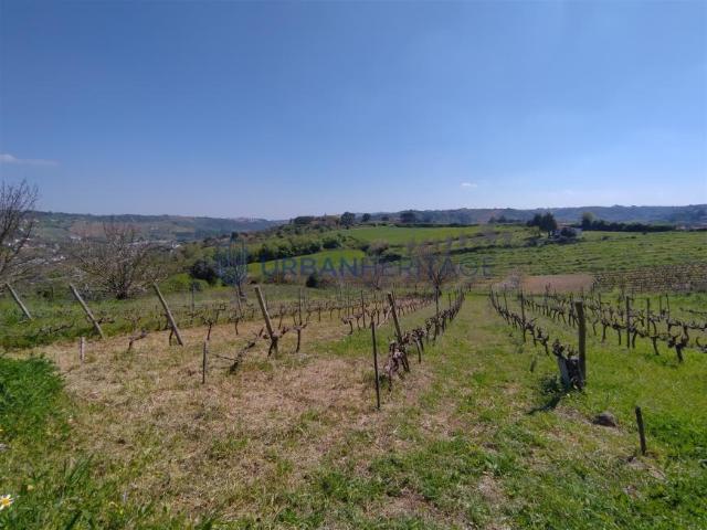 Terreno venda em Alenquer, Lisboa