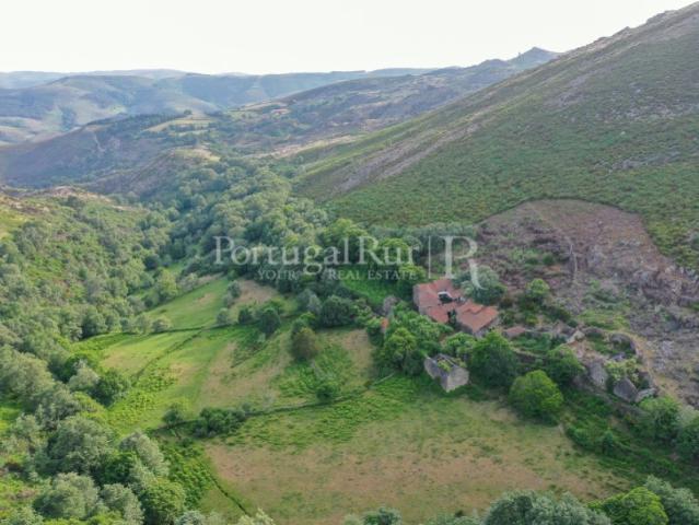 Quinta venda em Quinta do Entroncamento, Vila Real