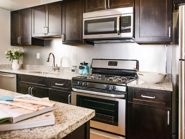 Apartment for rent in West Mount Airy, Philadelphia