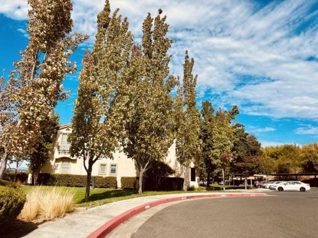 Apartment for rent in Santa Rosa, California