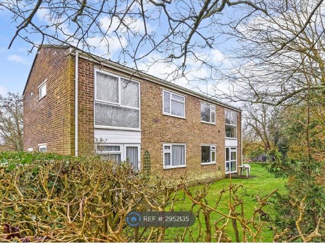 Apartment for rent in Petersfield, Bolton Low Houses