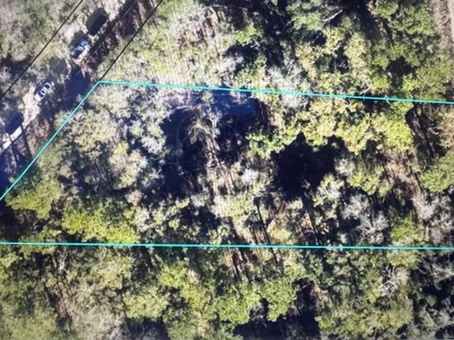 Land for sale in Lowndes, Georgia