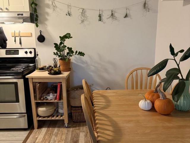 Apartment for rent in Mount Pleasant, Vancouver