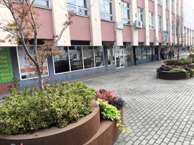 Mieszkanie do wynajęcia w Kędzierzyn-koźle, Opolskie