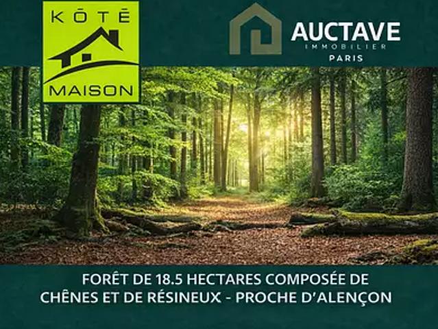 Terrain vente à Alençon