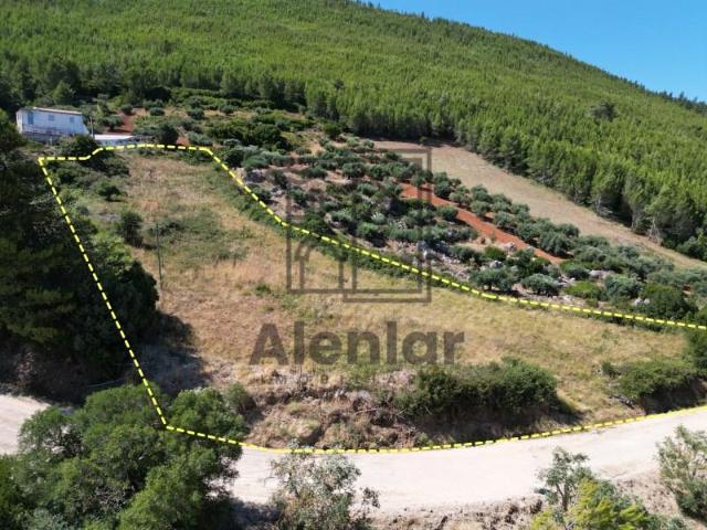 Terreno venda em Alenquer (Santo Estêvão e Triana), Alenquer