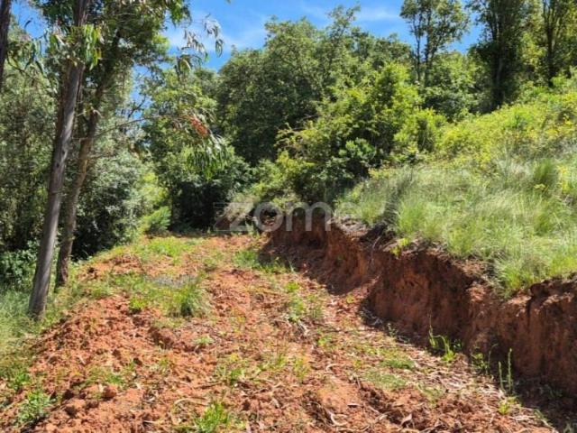 Terreno venda em Alenquer (Santo Estêvão e Triana), Alenquer