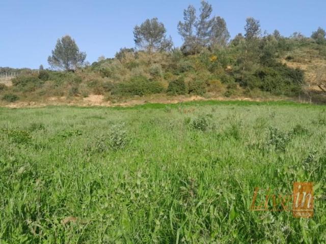 Terreno venda em Palaios, Alenquer