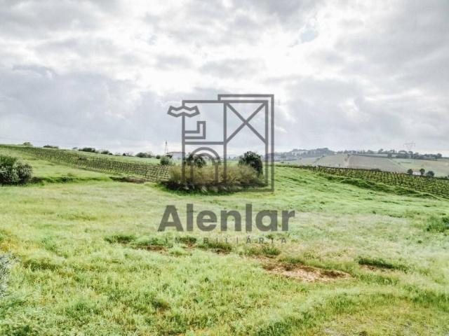Terreno venda em Alenquer (Santo Estêvão e Triana), Alenquer