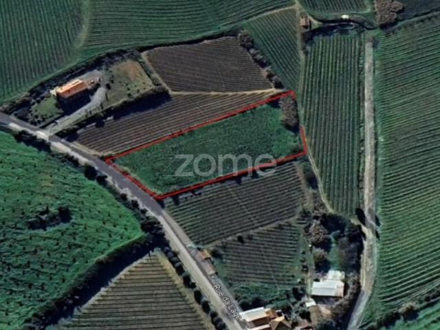 Terreno venda em Alenquer (Santo Estêvão e Triana), Alenquer