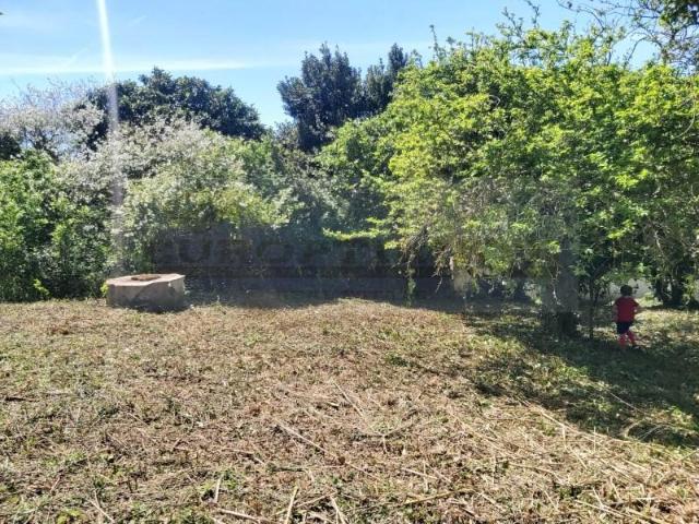Terreno venda em Alenquer (Santo Estêvão e Triana), Alenquer