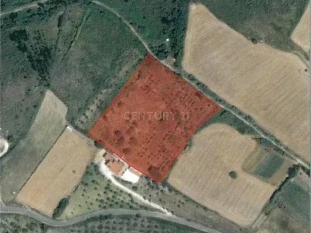Terreno venda em Alenquer, Lisboa