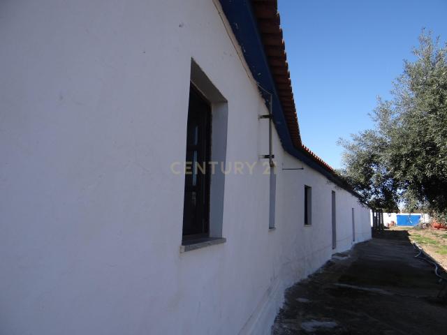Quinta venda em Albernoa e Trindade, Beja