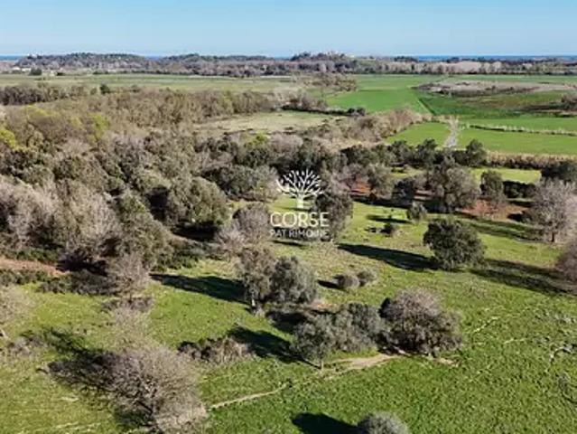 Maison vente à Corte, Aléria