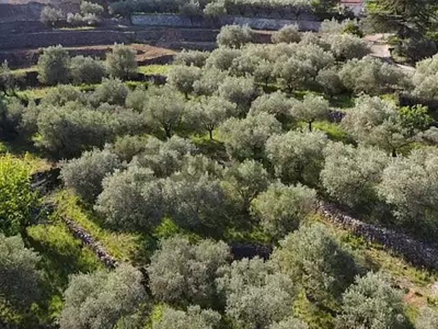 Terrain vente à Alès