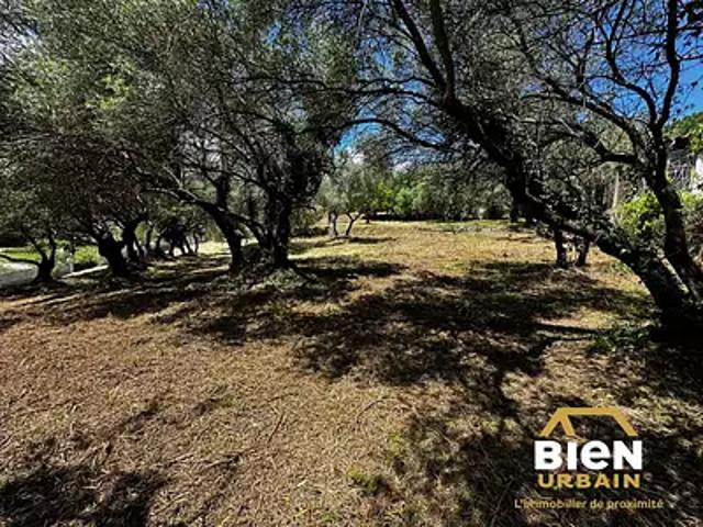 Terrain vente à Alès
