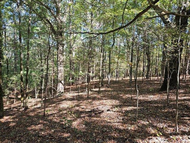 Land for sale in Batesville, Mississippi