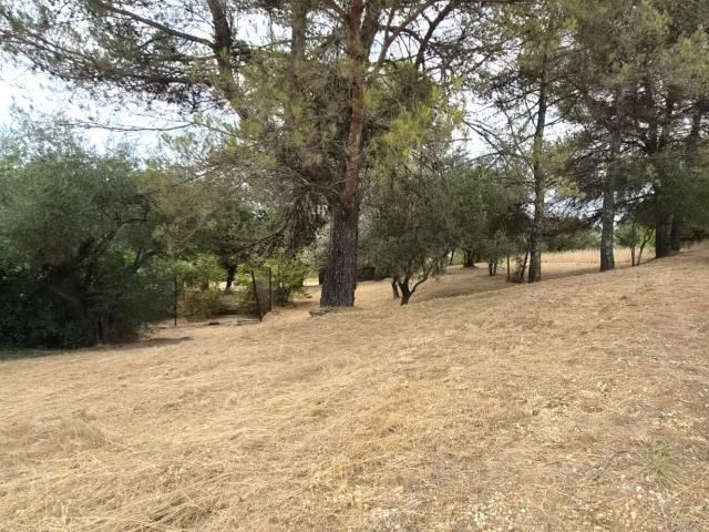 Terrain vente à Alès