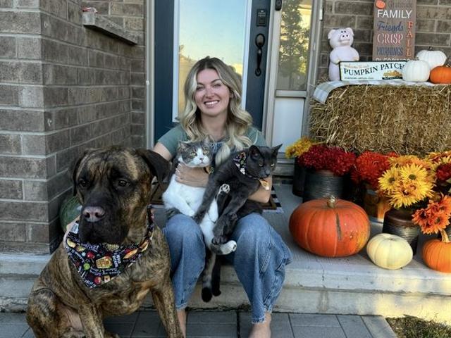 House for rent in Mulhurst Bay, Ontario