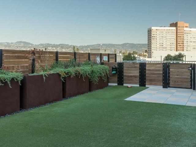 Apartment for rent in Oakland, California