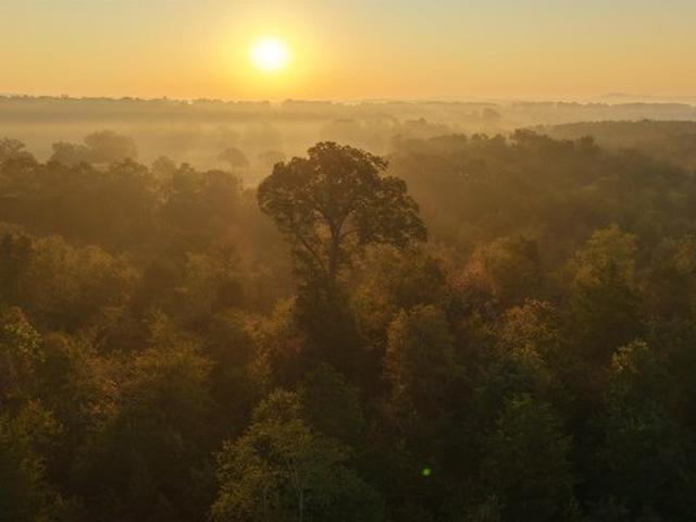 Land for sale in Mena, Polk County