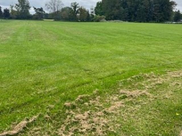 Land for sale in Vassar