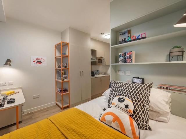 Studio for rent in Mount Pleasant, Nangreaves