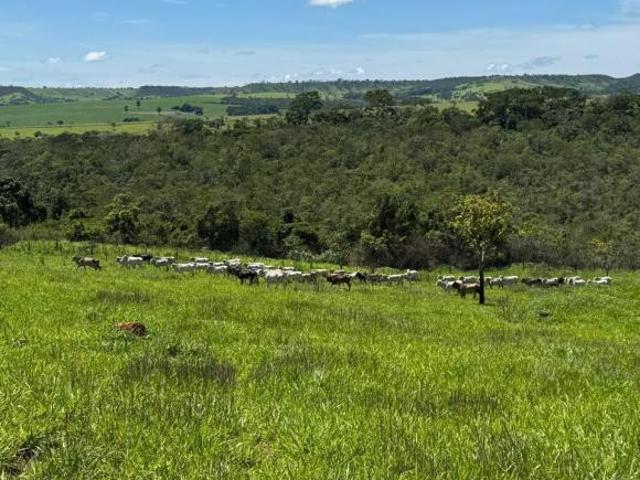 Sítio e chácara venda em Alexânia, Região Geográfica Intermediária de Goiânia