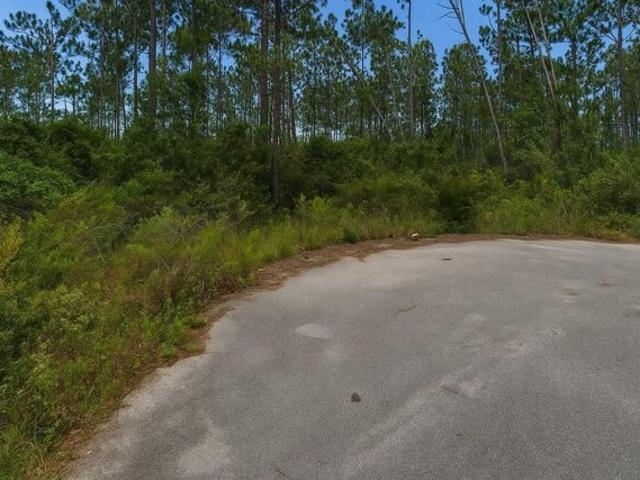 Land for sale in Wewahitchka, Florida