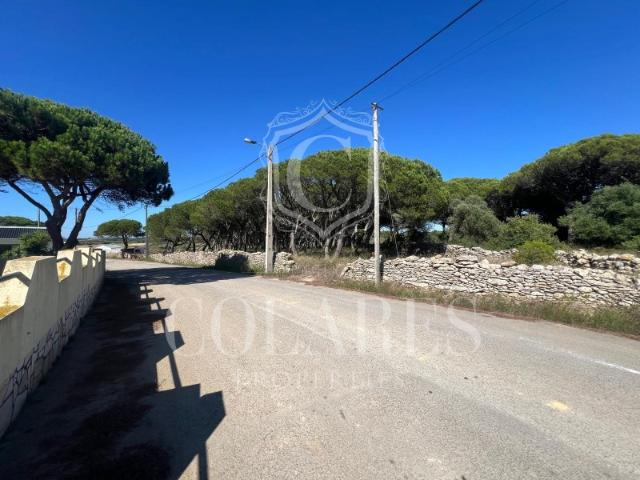 Terreno venda em Bolelas, Sintra