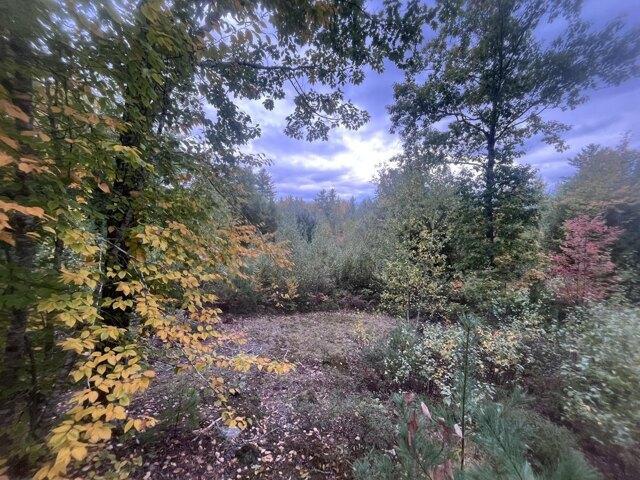 Land for sale in Alfred, York County