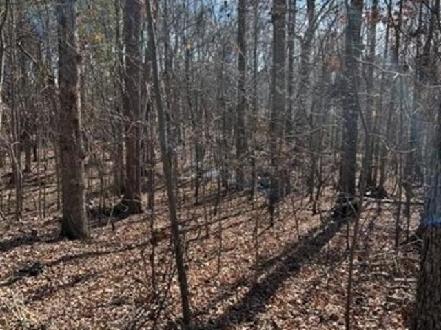Land for sale in Fort Mill
