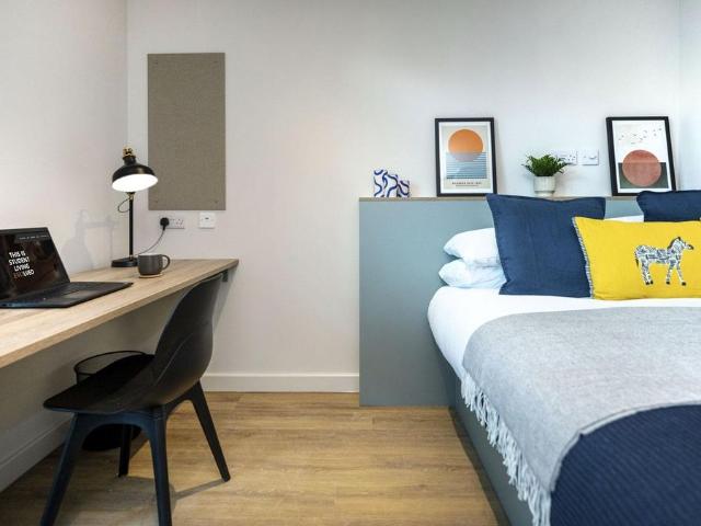 Studio for rent in Haddon, East Midlands