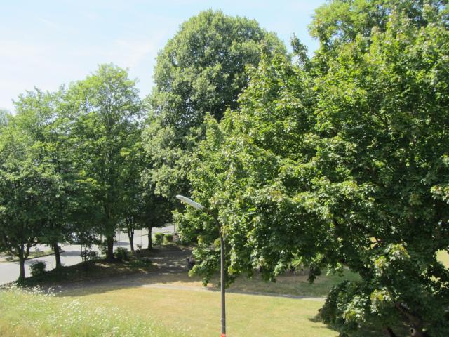 Wohnung kaufen in Alfter, Nordrhein-Westfalen