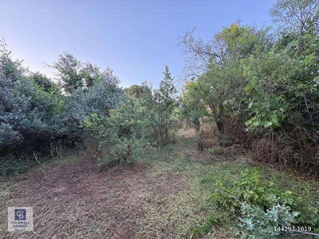 Muğla içerisinde satılık Arsa