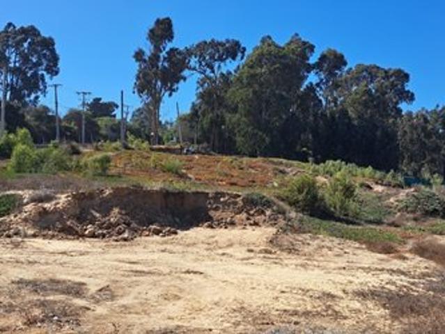 Algarrobo, Camino Algarrobo Mirasol