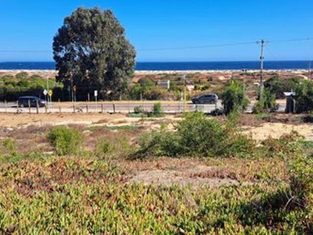 Algarrobo, Camino Algarrobo Mirasol