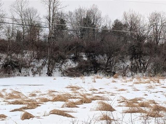 Farm for sale in Afton, New York
