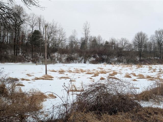 Land for sale in Afton, New York