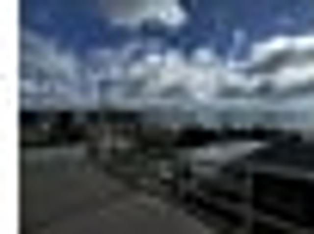 House for rent in Kawau Island