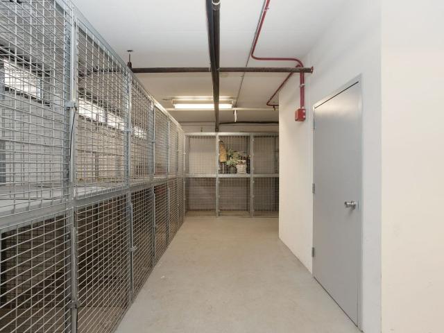 Apartment for rent in Chicago Park, Illinois