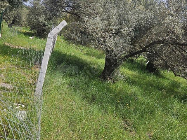 Aliağa, İzmir içerisinde satılık Arsa