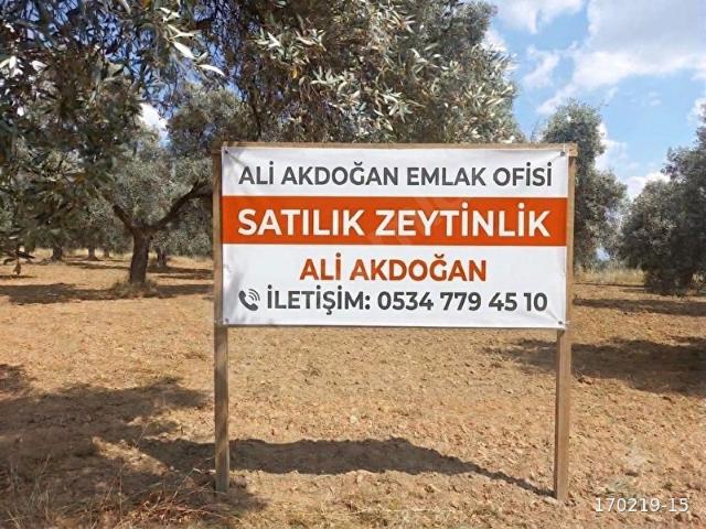 Zeytinova Mahallesi, Bayındır içerisinde satılık mülk
