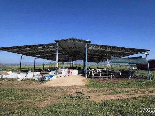 Tire, İzmir içerisinde satılık Arsa