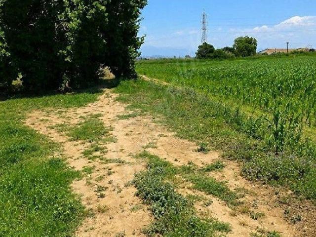 Tire, İzmir içerisinde satılık Arsa