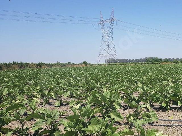 Tarsus, Mersin içerisinde satılık mülk