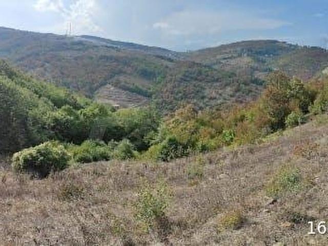 Kavak, Samsun içerisinde satılık Arsa